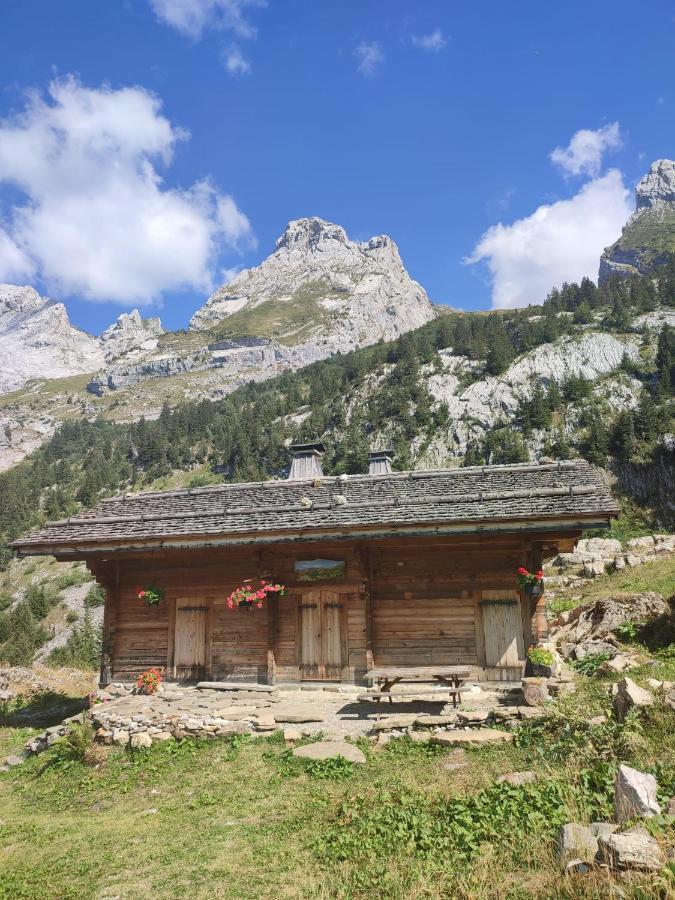 La Petite Anfiane Villa Le Grand-Bornand Dış mekan fotoğraf